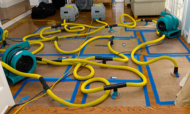 Professional Water Damage Repair technician working in Mowrystown, OH